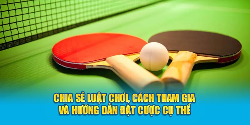 Cá Cược Bóng Bàn OK9 - Chia Sẻ Bí Kíp Chiến Thắng 6 Chia sẻ luật chơi, cách tham gia và hướng dẫn đặt cược cụ thể
